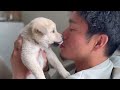 野犬が生んだ子犬達