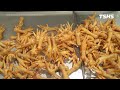 Chicken Feet｜Guangdong Teahouse Delicacies｜Continuous Frying Machine Application｜Tsunghsing(TSHS)