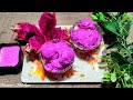 ড্রাগন ফলের আইসক্রিম || Dragon Fruit Ice Cream Recipe By Dream's Kitchen