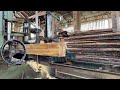 This young pine wood is ready to be processed into many thin planks in the lumber factory