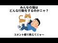 猫の雑学 #雑学 #猫 #不思議