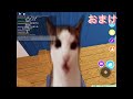 ゆづきくんとガチのルーティーン猫ミームでやってみた！