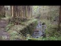 Yamaguchi Prefecture: 5 abandoned cars in an abandoned village that is not on the map