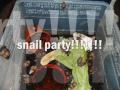 Snails Gone Wild!!!!!