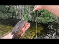 Exploring Back Roads in the EVERGLADES