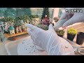 2024.06.22 플라스틱 재활용으로 다육이 화분 만들기🌸💕Making potted plants from plastic recycling