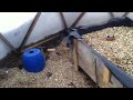 BioDome Systems: The Aquaponic Chronicle- A Geodesic Dome Journey Pt 12 Snow Day!!