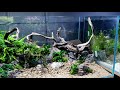 4ft ANGELFISH AQUARIUM BUILD - FULL STEP BY STEP TUTORIAL | MD FISH TANKS