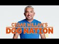 Aggression to Forever Home: Cesar Millan Dog Nation (Full Episode) | Nat Geo Wild