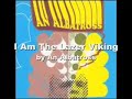 I Am The Lazer Viking Bass Cover