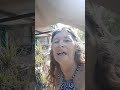off grid Widow in Aussie land.. baby found and solar solution..maybe