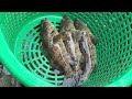 Catching fish in the sea of ​​Cambodia​