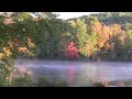 morning pond mist for my film EXAMINED  720p