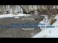 Calming winter creek - Arroyo invernal calmante