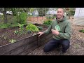 The Ugly Truth about Raised Beds...