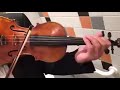 Como alguém pôde fazer isso com o violino?