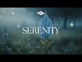 SERENITY - Soaking worship instrumental | Prayer and Devotional