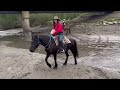 Beach Ride - Astoria