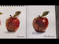 The Best Watercolor Paper for Beginners? Canson Versus Strathmore