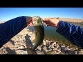 How To Use the Chatterbait to Catch more BASS- Beginner Tips , Baits, Trailers, and Gear