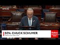 Chuck Schumer Rails Against Project 2025's 'Radical, Right-Wing, MAGA Proposals'