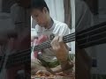 #DigimonAdventureOst Koji Wada - Butterfly Bass cover