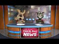 My Talking Tom and Ben news