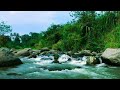 Peaceful River Flow Ambient Sounds for Relaxation and Mindfulness
