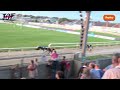 Greyhound Race Competition - 480m Track Dash