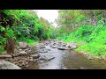 Gentle Mountain River at Golden Hour - Nature Ambience for Sleep & Meditation - 4K UHD