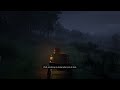 Beautiful Relaxing Night Ride on Carriages | RDR2