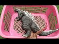 All Kaiju Monsters Godzilla, Shin Godzilla, Space Godzilla, Godzilla Earth, Destroyah | Spin Wheel