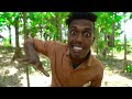 Exclusive New Trending Comedy Video 2024 😂 Amazing Funny Video Episode 151 By Our Fun Tv