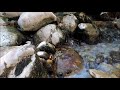 Φαράγγι Βίκου - Πηγές Βοϊδομάτη / Epirus Greece, Vikos gorge - Voidomatis springs