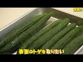 【夏】キンキンに冷やした夏野菜を丸かじりしたくなったので。～原点にして頂点～