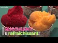 Recette glace maison aux fruits 2 ingrédients - Sorbet facile et sans sorbetière