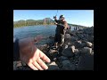 SHAD FISHING BONNEVILLE DAM! *100000+ GOING OVER the DAM*