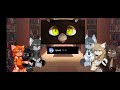 Warrior Cats React to themselves! || P.1/?? || Read desc !! || Rushed TvT