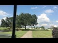 Eagle shot over tree