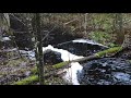 Finnish nature ASMR