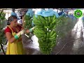 The Most Modern Agriculture Machines That Are At Another Level , How To Harvest Pumkins In Farm ▶17