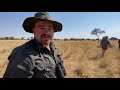 Kalahari Lion Hunt