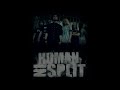 human in split - бояться любить