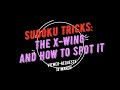 Sudoku Tricks:  The X-Wing And How To Spot It