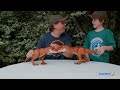 Jurassic World Fallen Kingdom vs Jurassic Park Dinosaurs! Giant T-Rex Dinosaur & Surprise Egg Toys