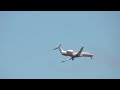 American Eagle ERJ-135 Flyby @ LGA