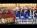 Los Terribles Del Norte Mix - Los Mejores 30 Corridos || Álbum Completo 2024