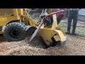 Rayco RG80 Stump Grinder DESTROYS  36 inch Oak Stump IN 10 min.