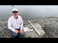 Beach Walk: Sea Treasures With Channel Shoutout #treasure #sea #shoutout