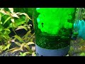 Setting Up Fluidized Moving Bed Filter For Aquarium